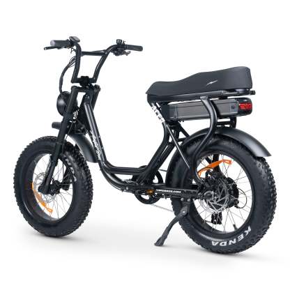ACE-S Plus+ Electric Bike