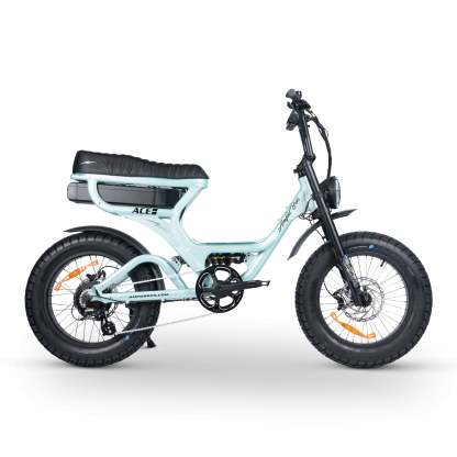 ACE-S PRO Electric Bike