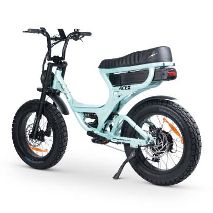 ACE-S PRO Electric Bike