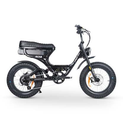 ACE-S PRO Electric Bike