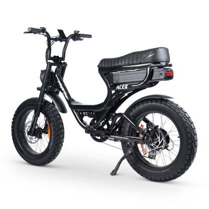 ACE-S PRO Electric Bike