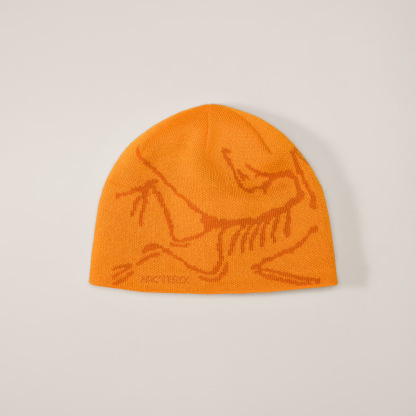 Arc'teryx hat