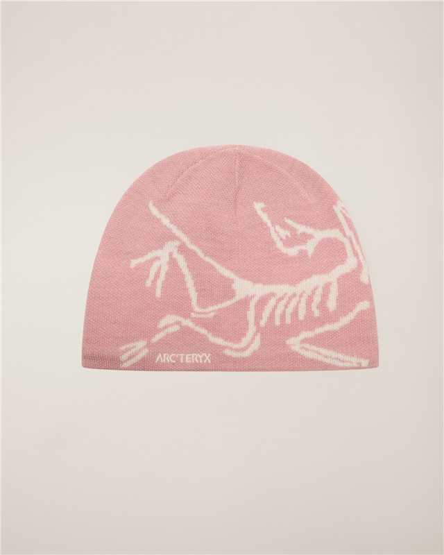 Archaeopteryx Outdoor Knitted Jacquard Cold Hat Autumn And Winter Warm
