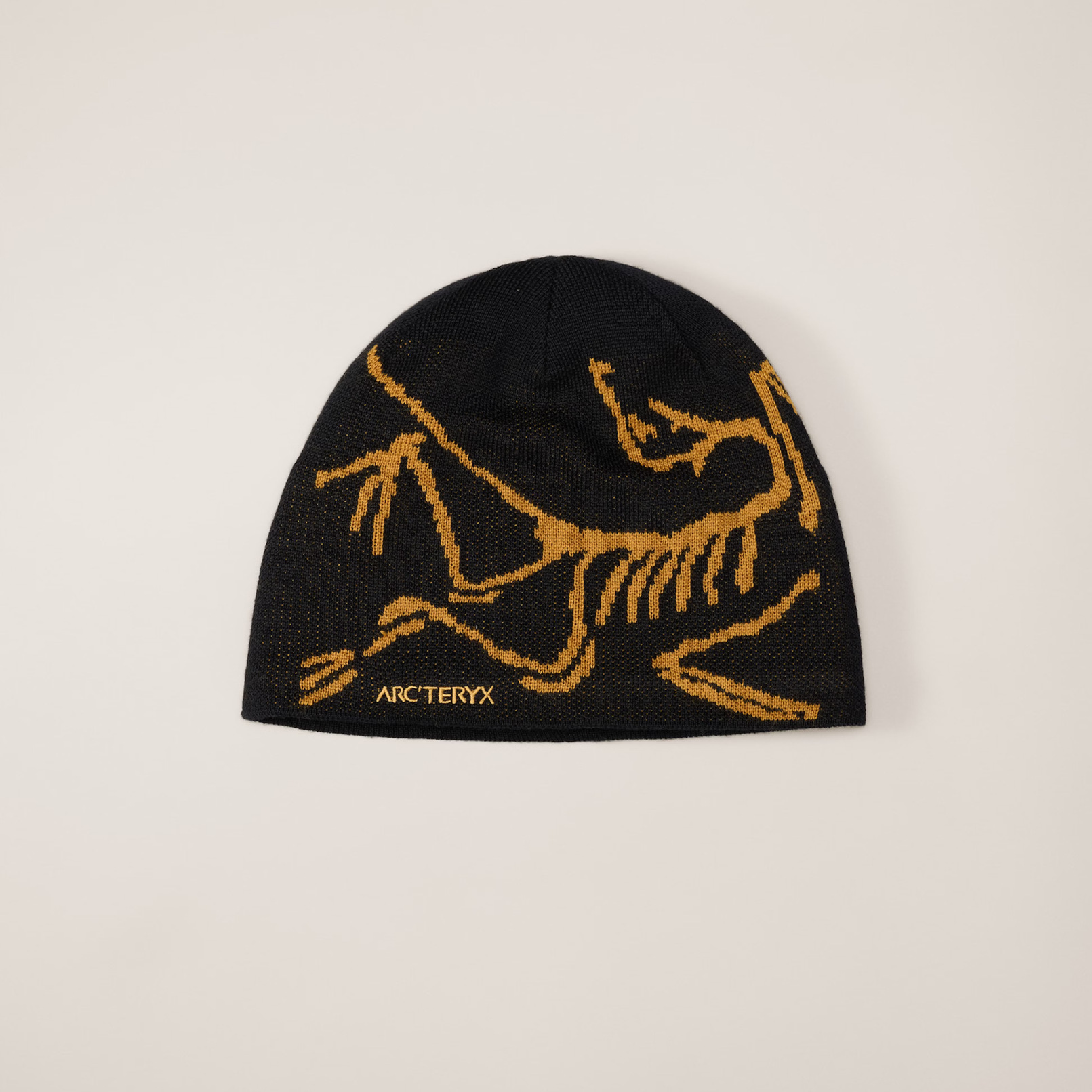 Arc'teryx hat