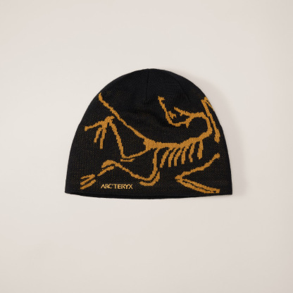 Arc'teryx hat