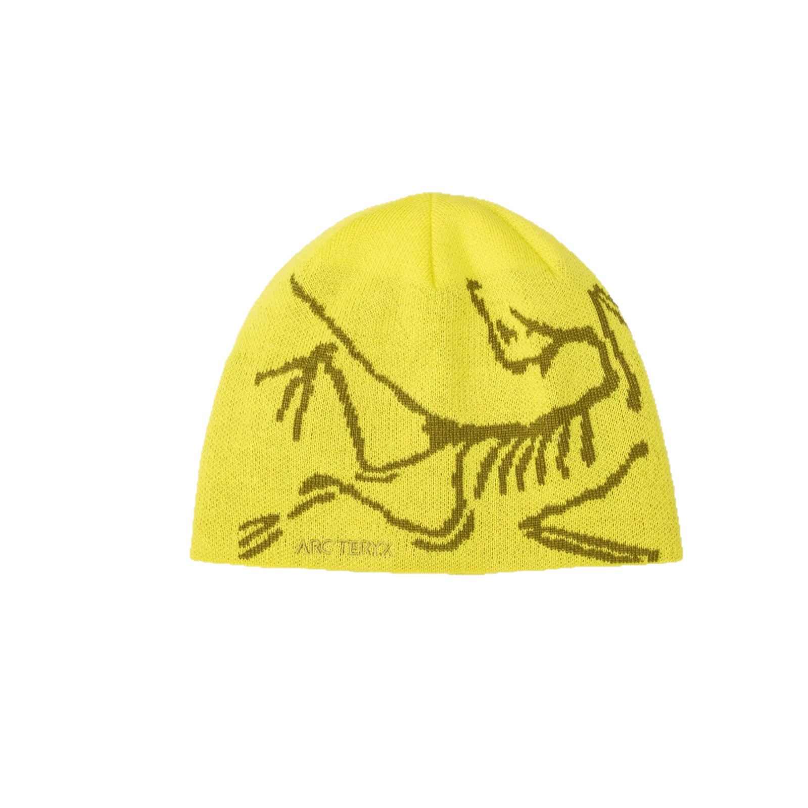 Arc'teryx hat