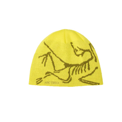 Arc'teryx hat