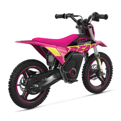 WARRIOR KIDS SX-E500 Electric Bike