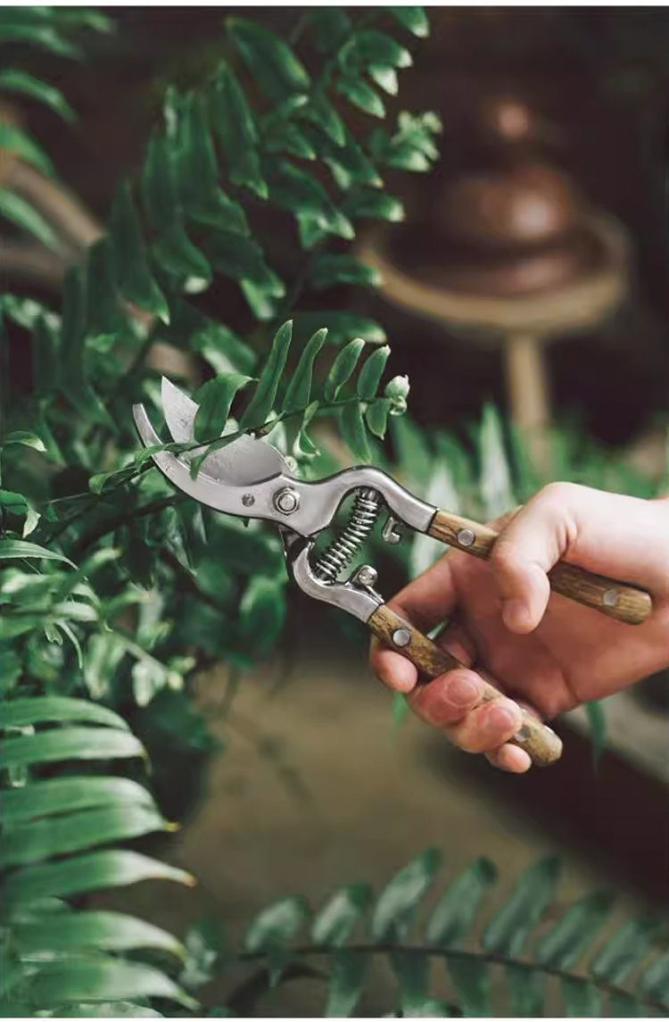 Einfache Bedienung der Einhand-Astschere
