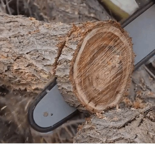 Bürstenlose Motor-Technologie für längere Lebensdauer