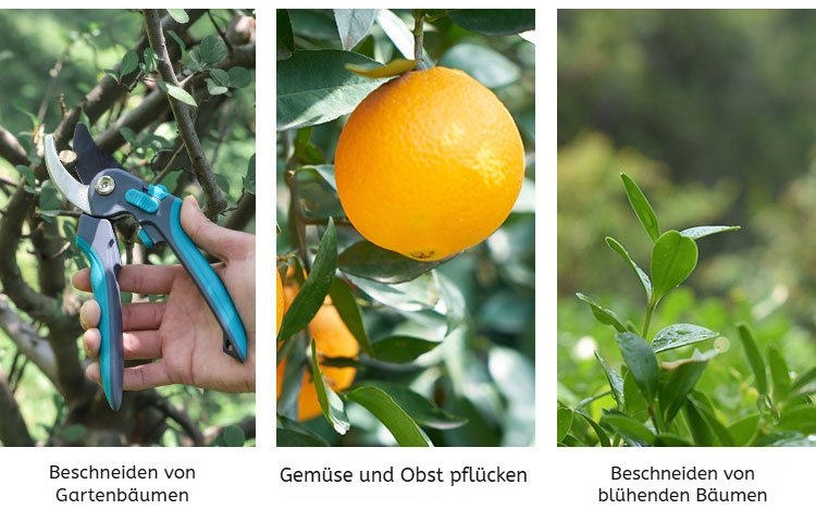 Gartenschere schneidet dicke Äste mühelos
