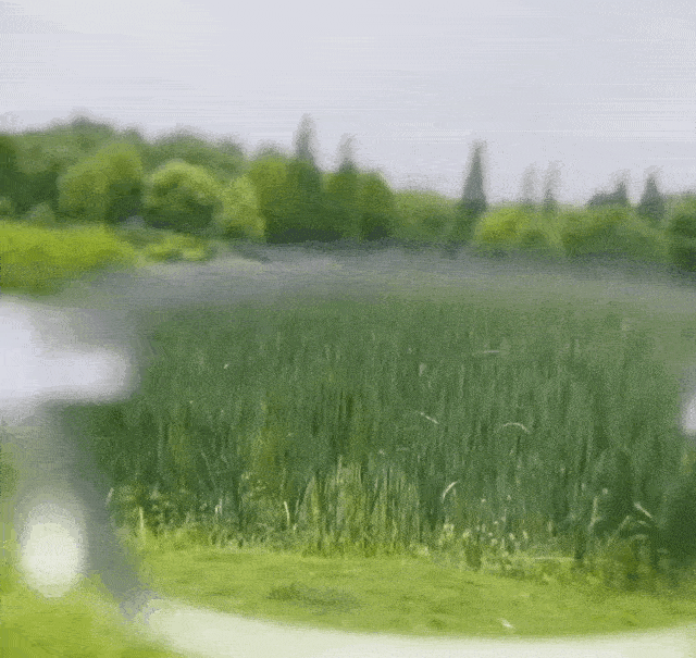 Stilvolle Lesebrille mit Blaulichtschutz beim Lesen