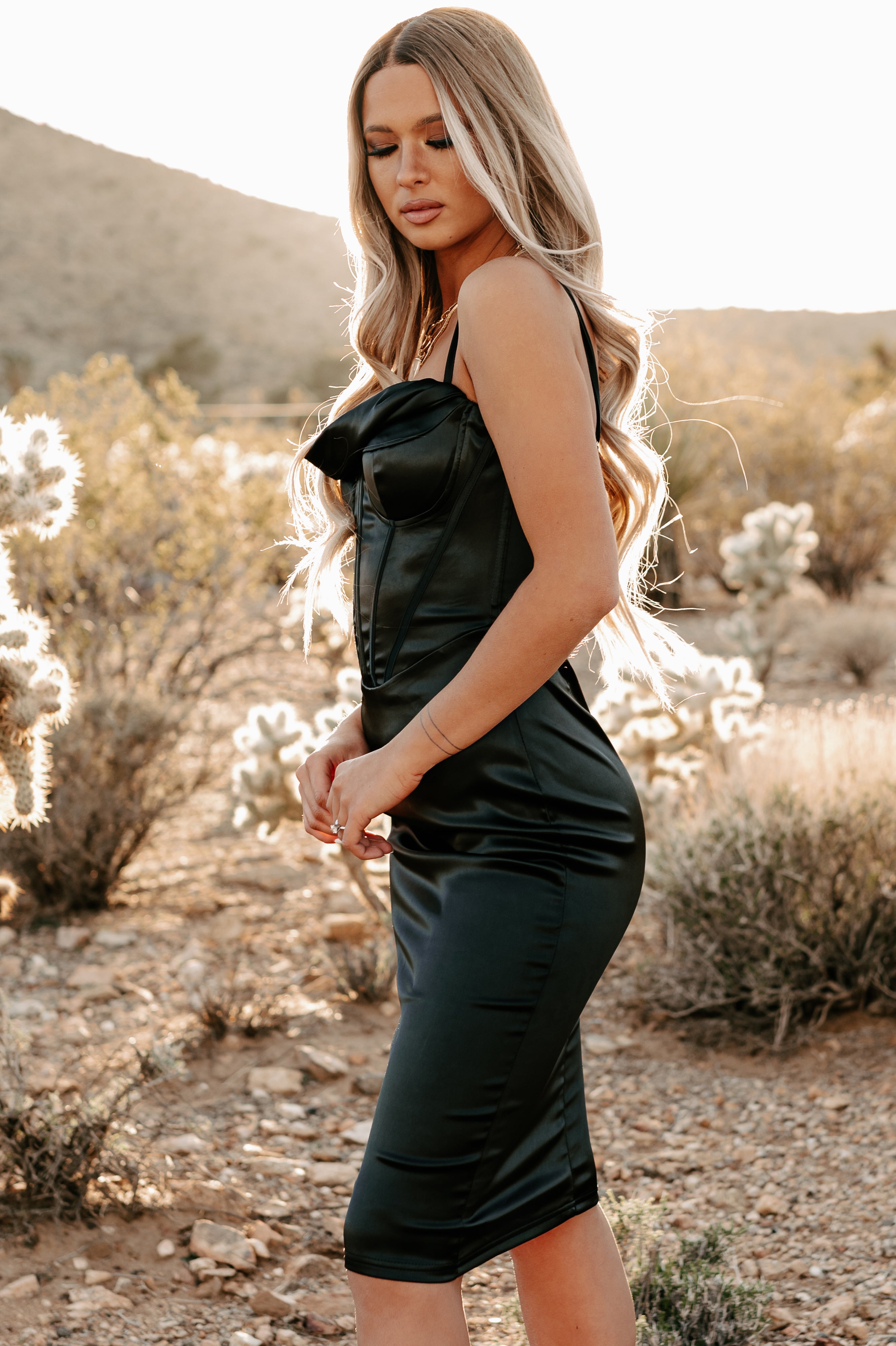 Can't Tell Me Nothing Satin Bustier Bodycon Dress (Black)-The Formal Wear