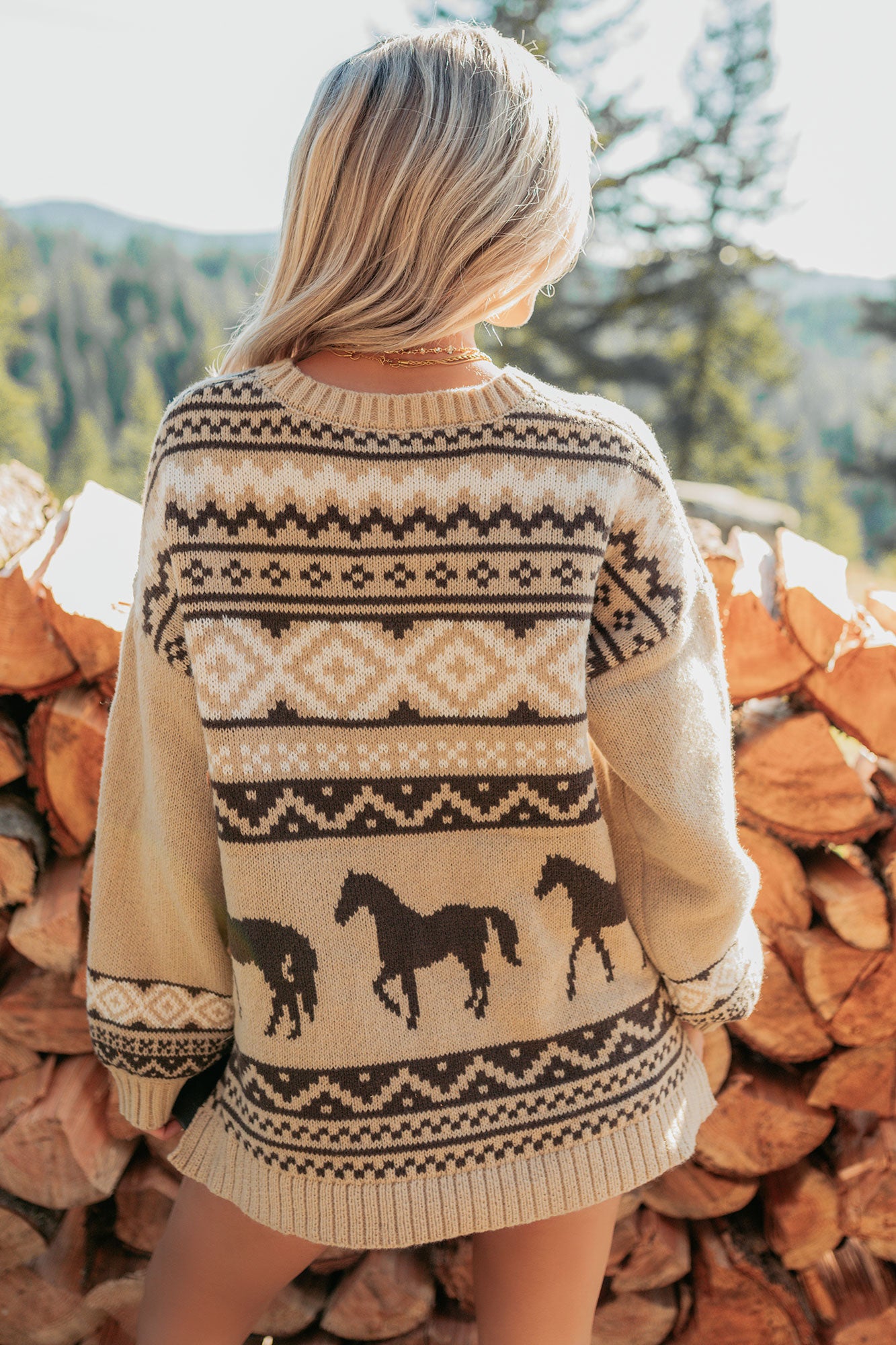 Bless Your Boots Western Print Sweater (Mocha)-The Formal Wear