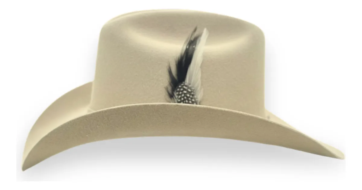 Sombrero Vaquero Texana Estilo Joan Sebastian Lana Fina 8x