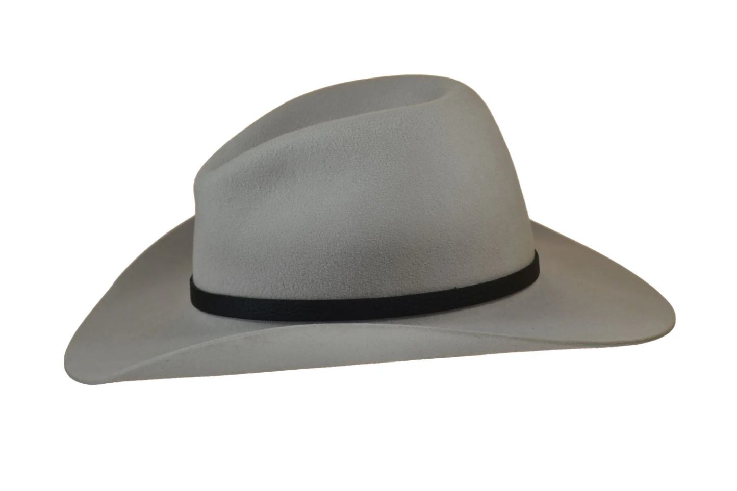 Silver-bellied Western Hat