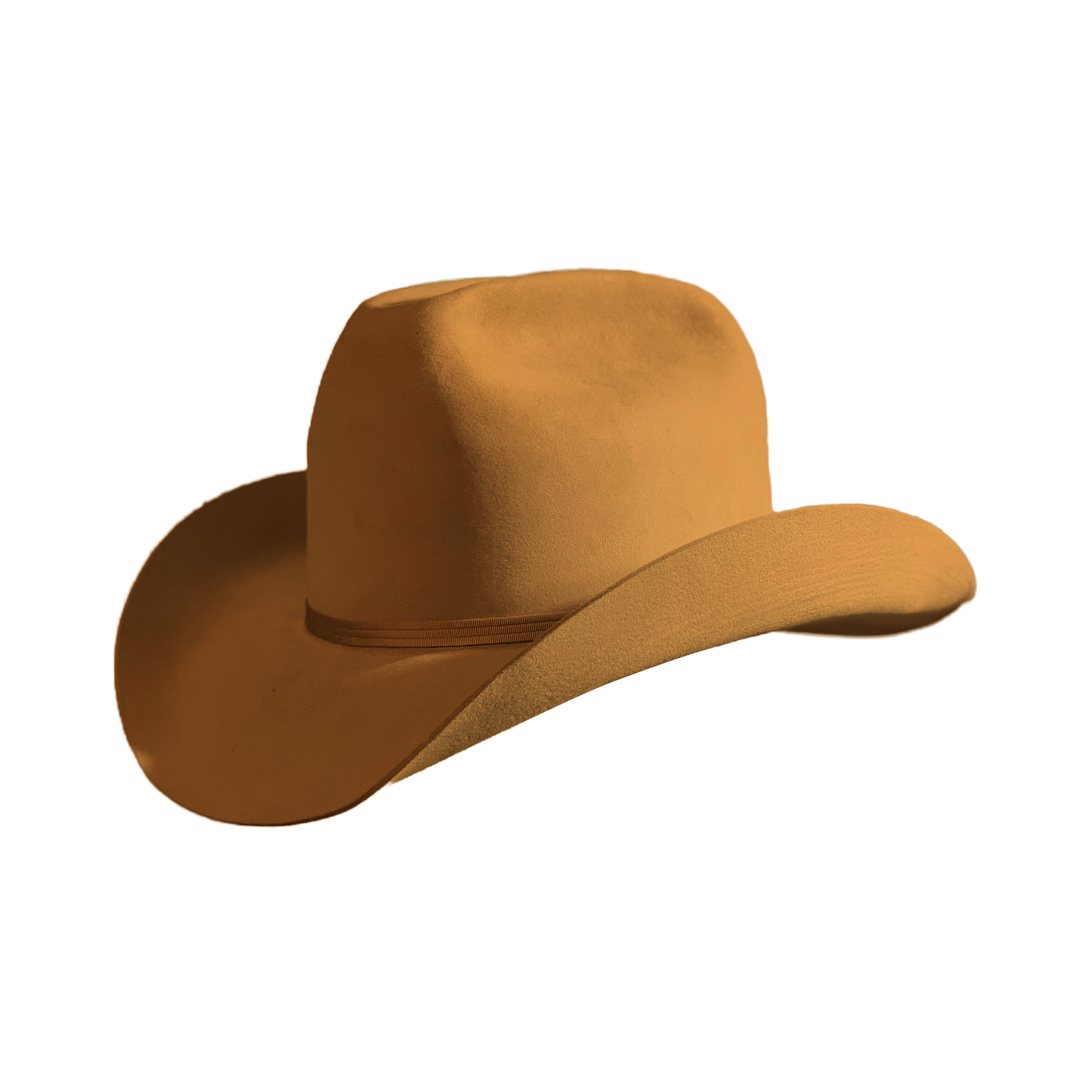 Dwight Yoakam Hat