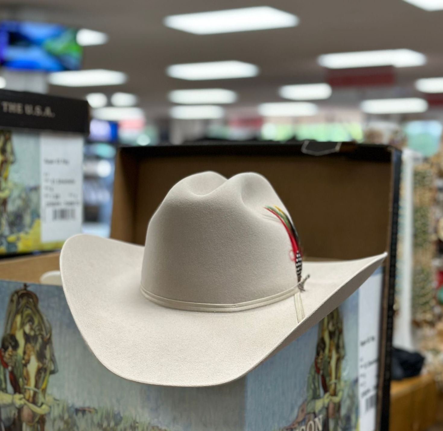 Roper 10x Silverbelly