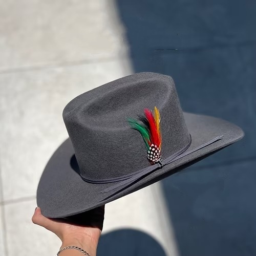 STEEL GRAY RANCH TEXANA