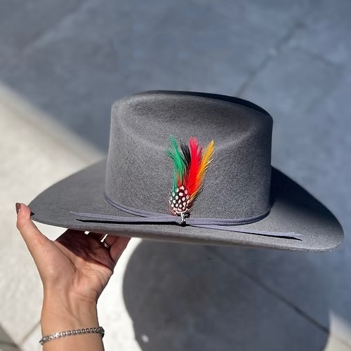 STEEL GRAY RANCH TEXANA