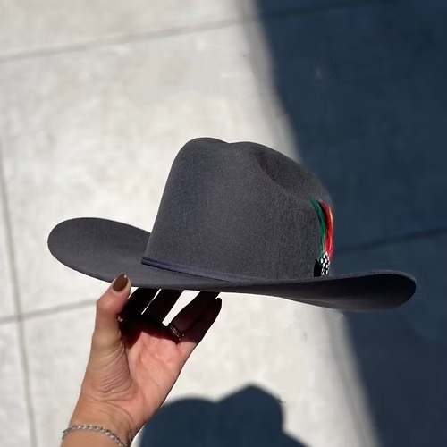 STEEL GRAY RANCH TEXANA