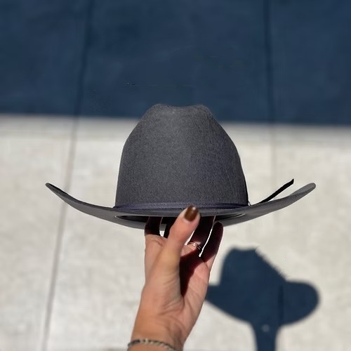 STEEL GRAY RANCH TEXANA