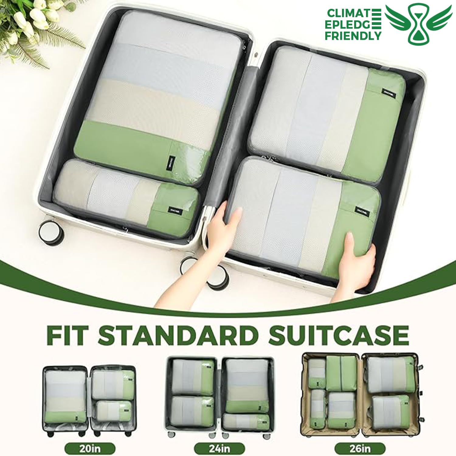 6 Set Label & Half Mesh Compression Packing Cubes with Packing List