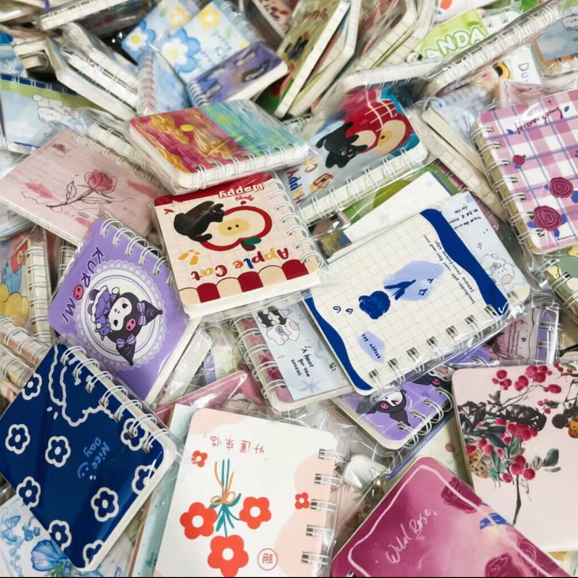 Surprise Mini Notebooks bundle - Lots of extras!