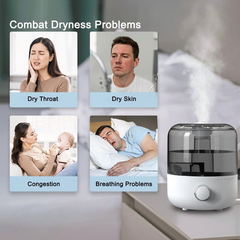 3L Indoor Humidifier-ITOMA