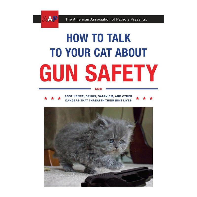 🐈How to Talk to Your Cat About Gun Safety: The Essential Guide for the Modern Concerned Pet Parent 🐾🔫