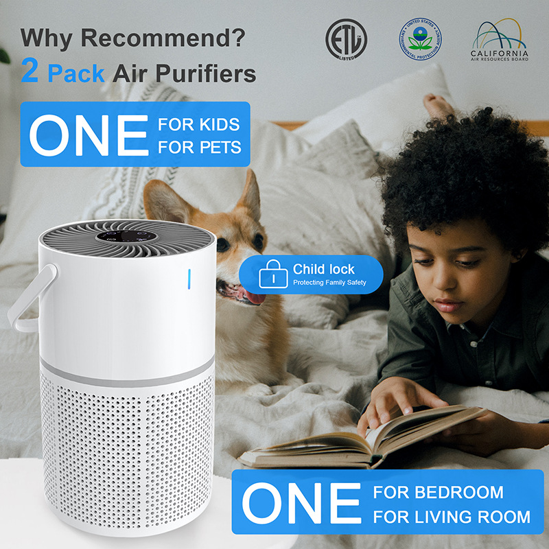 ransform Your Indoor Air Quality With One Simple Device