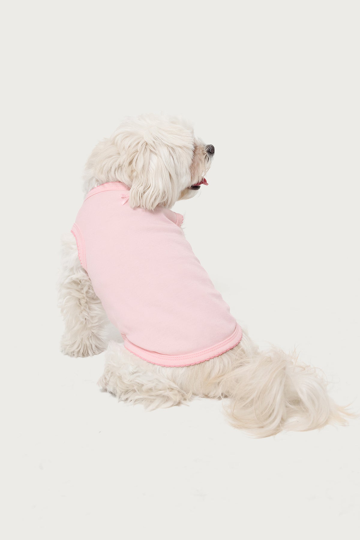 Pawfect Pet Tank Top-Juice Dress