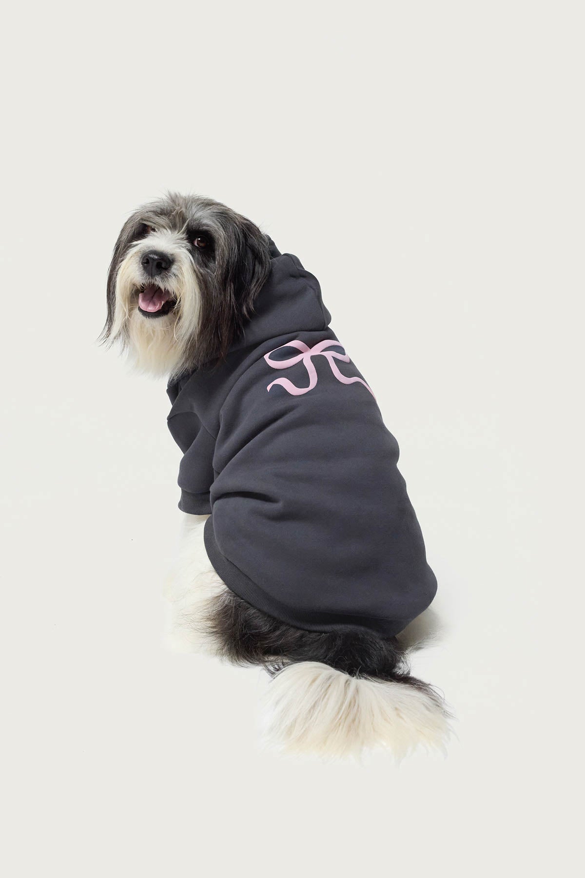 Bonney Bow Pet Hoodie-Juice Dress