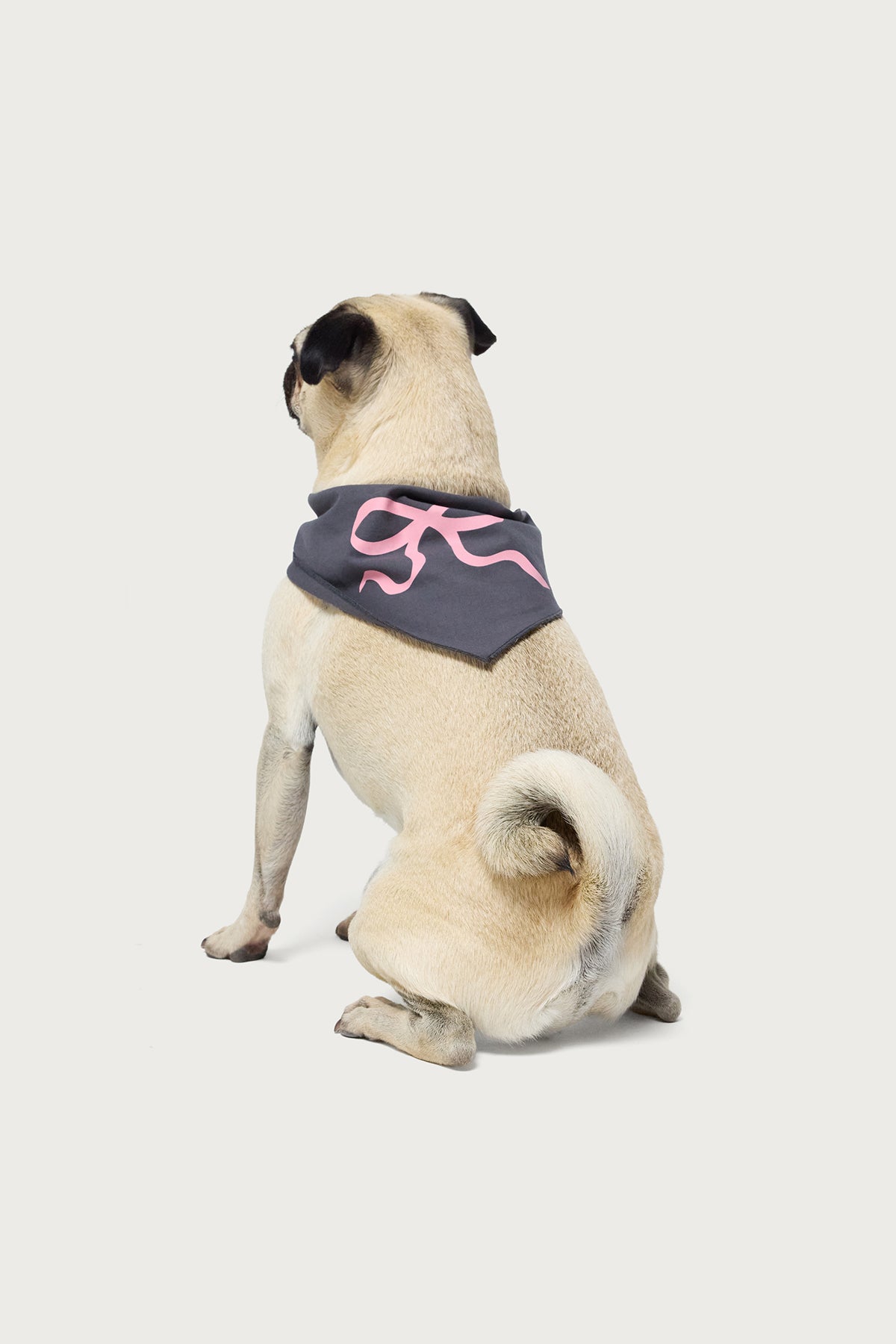 Bonney Bow Pet Bandana-Juice Dress