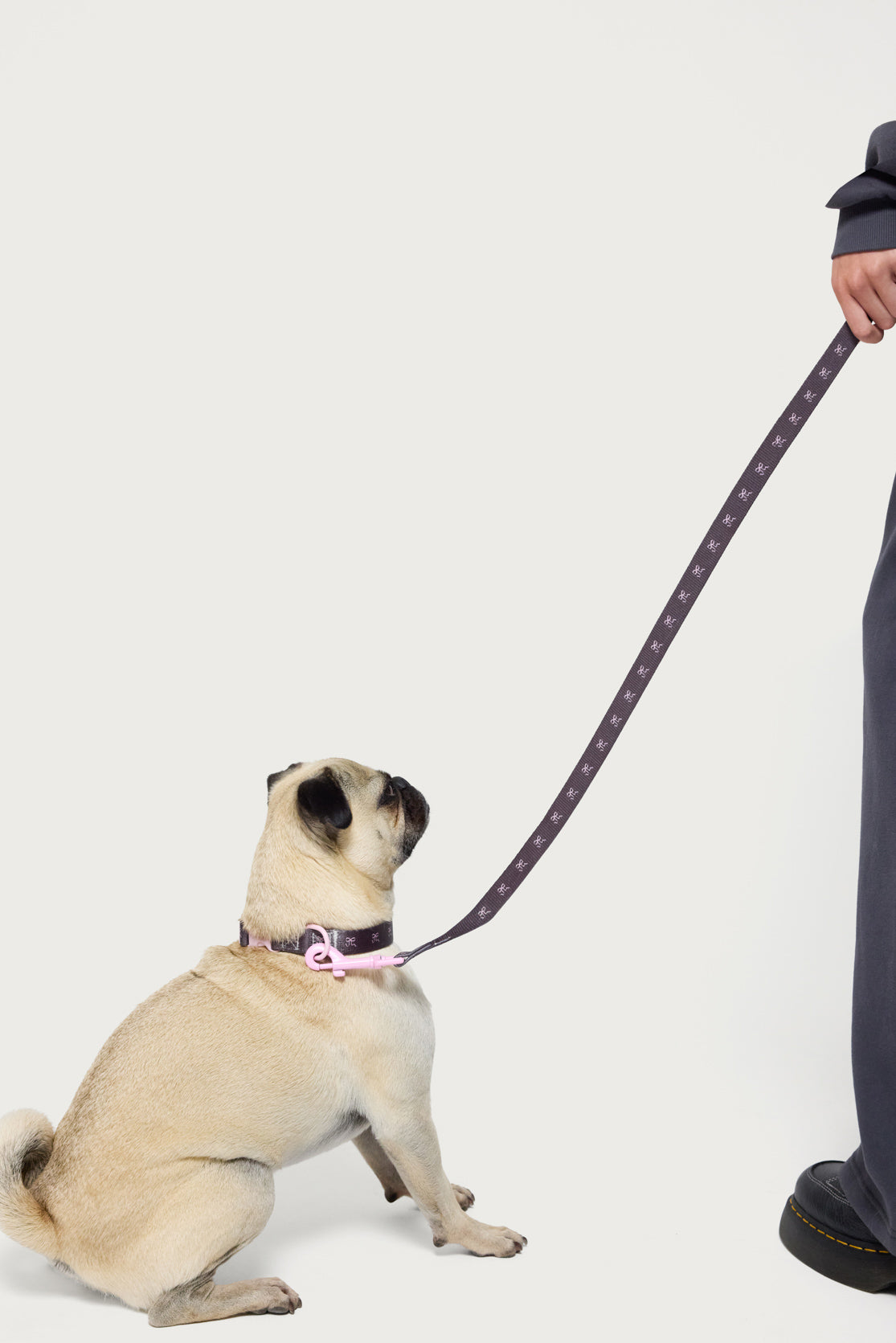 Bonney Bow Pet Leash-Juice Dress