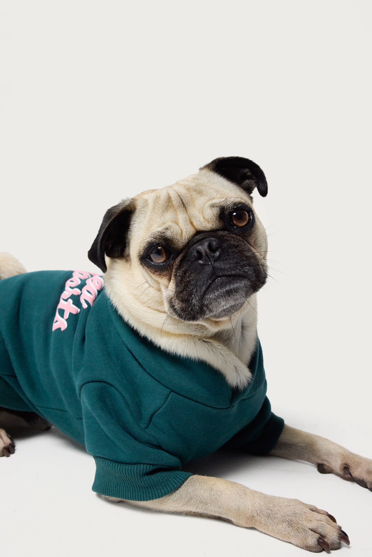 So Sporty Pet Hoodie-Juice Dress