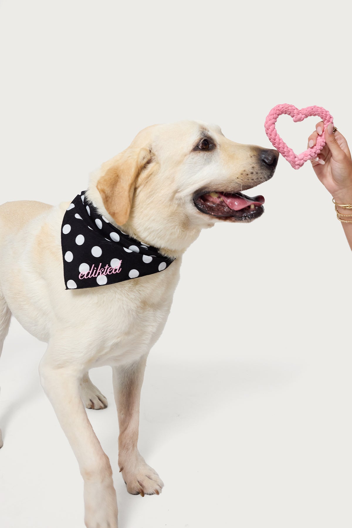 Fetching Heart Rope Toy-Juice Dress