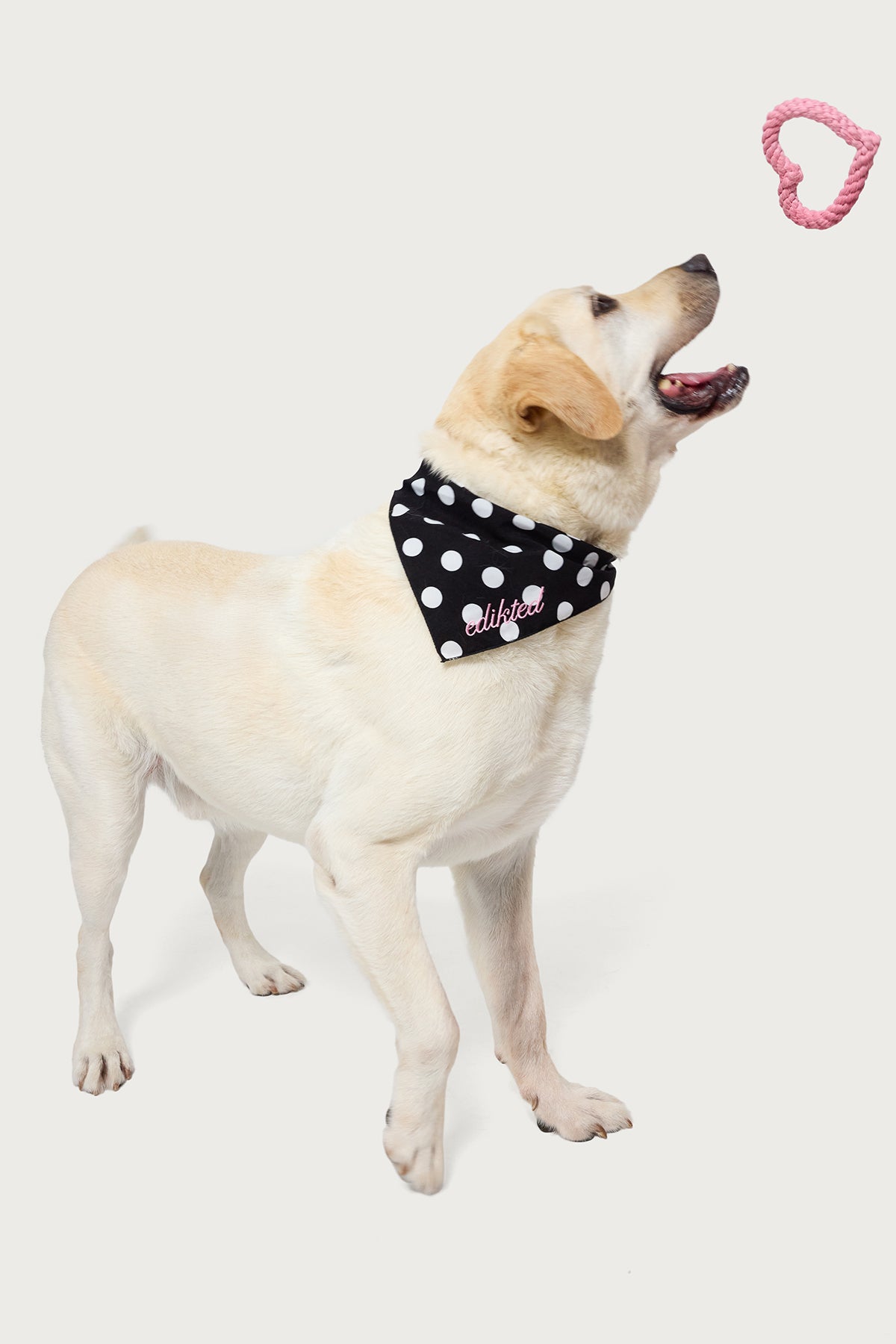 Fetching Heart Rope Toy-Juice Dress