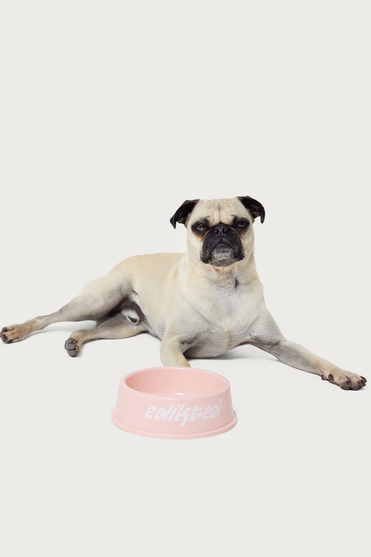 Bone Appetit Pet Bowl-Juice Dress
