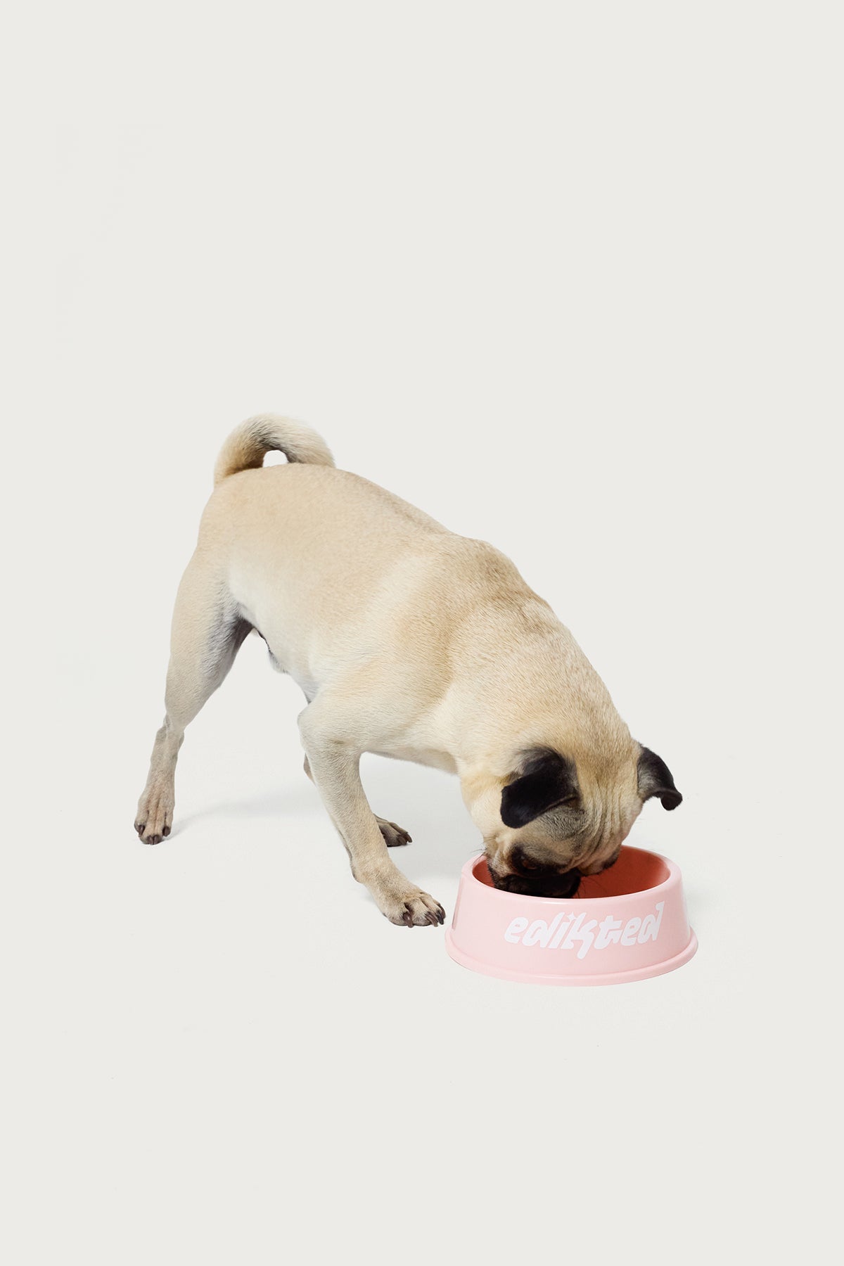 Bone Appetit Pet Bowl-Juice Dress