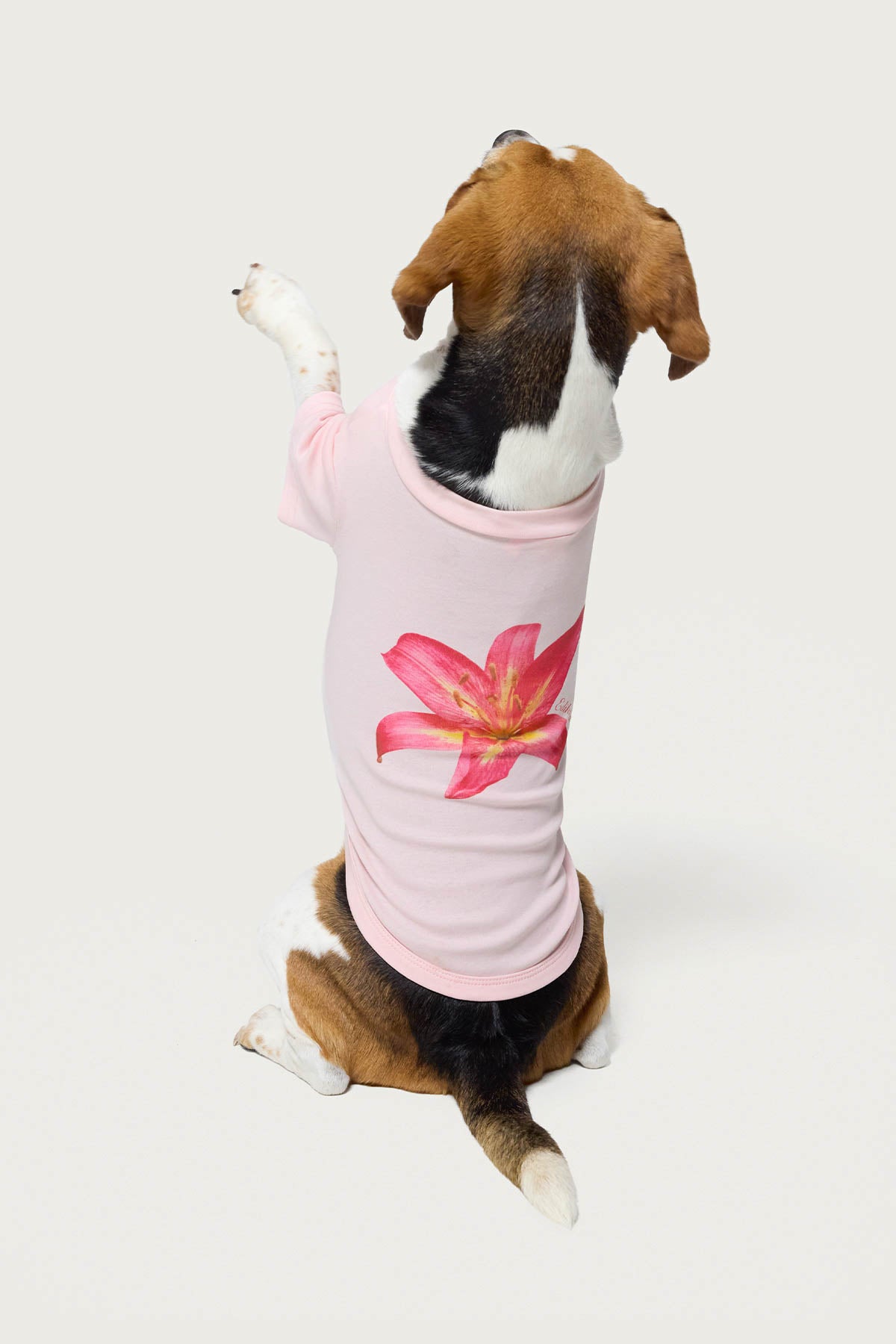 Daylily Pet T Shirt-Juice Dress