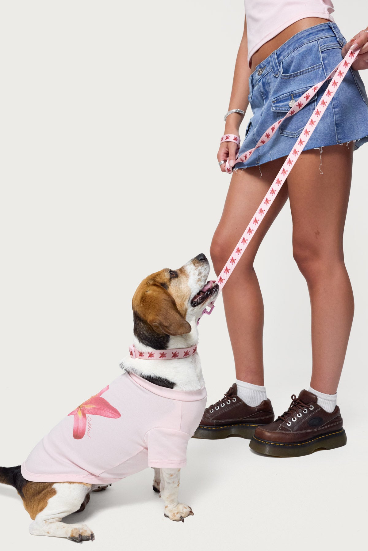 Daylily Pet Leash-Juice Dress