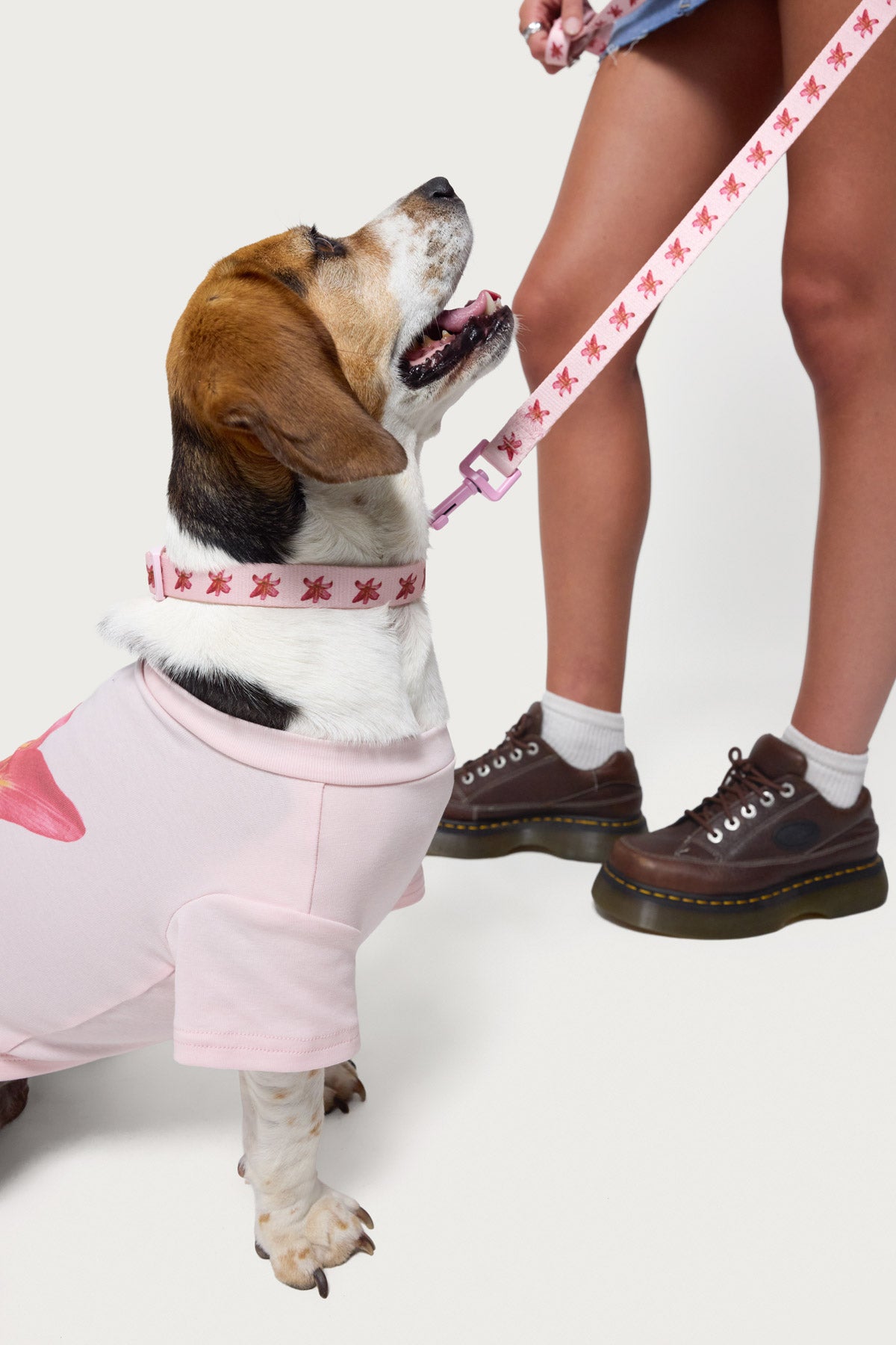 Daylily Pet Leash-Juice Dress