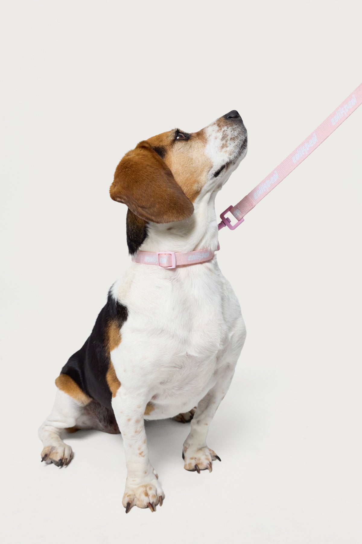 Juice Dress Pet Leash-Juice Dress