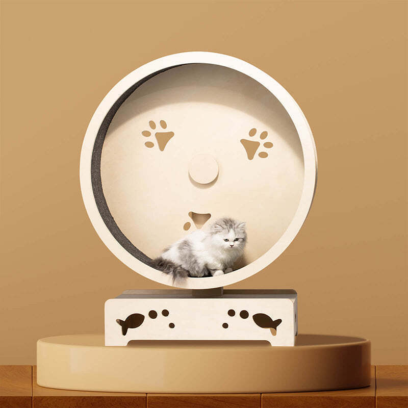 ❤️The Best Gift For Your Cats