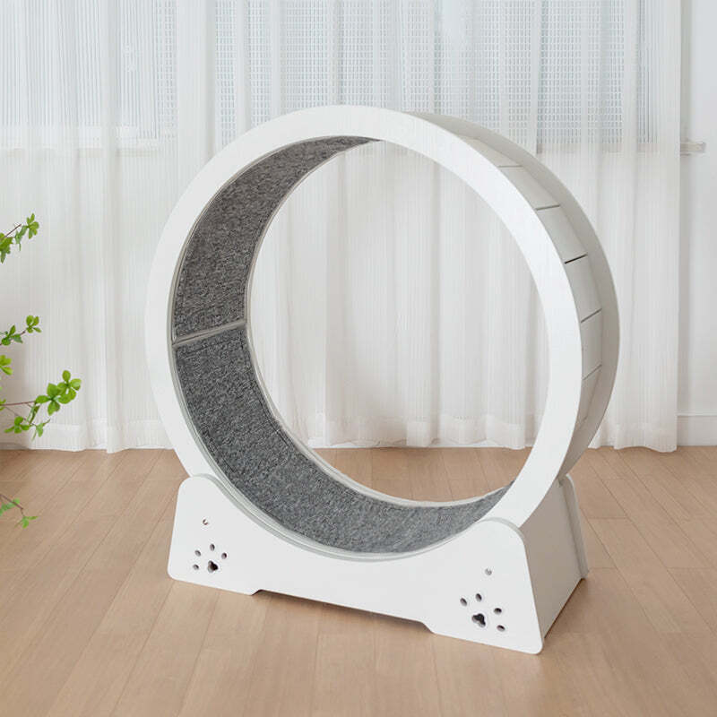 ❤️The Best Gift For Your Cats