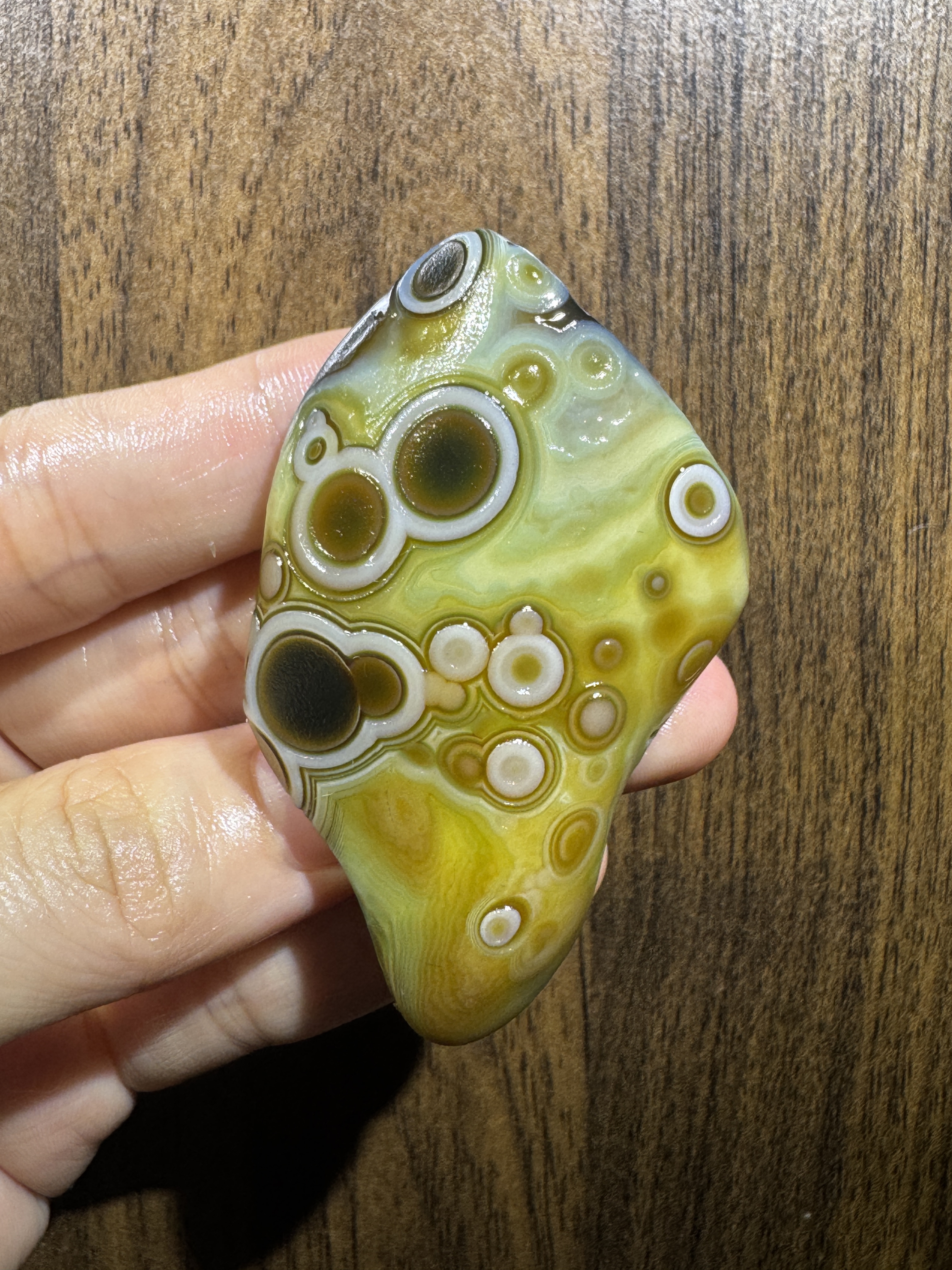 Mongolian Gobi Flower-Eye Agate (C41) 2.48×1.57×0.67 in