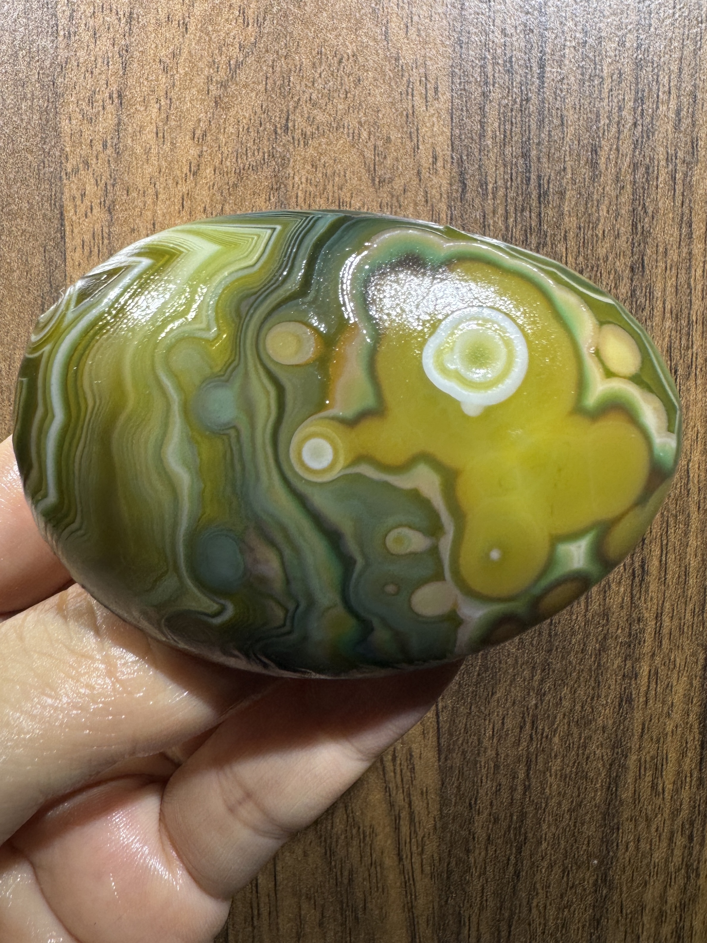 Mongolian Gobi Flower-Eye Agate (D18) 2.56×1.97×1.42 in