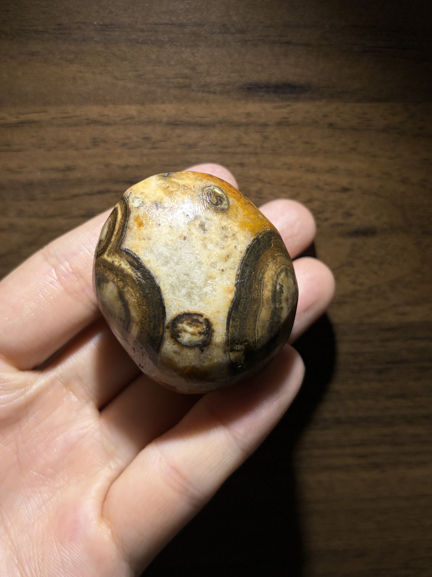 Mongolian Gobi Eye‑Stone