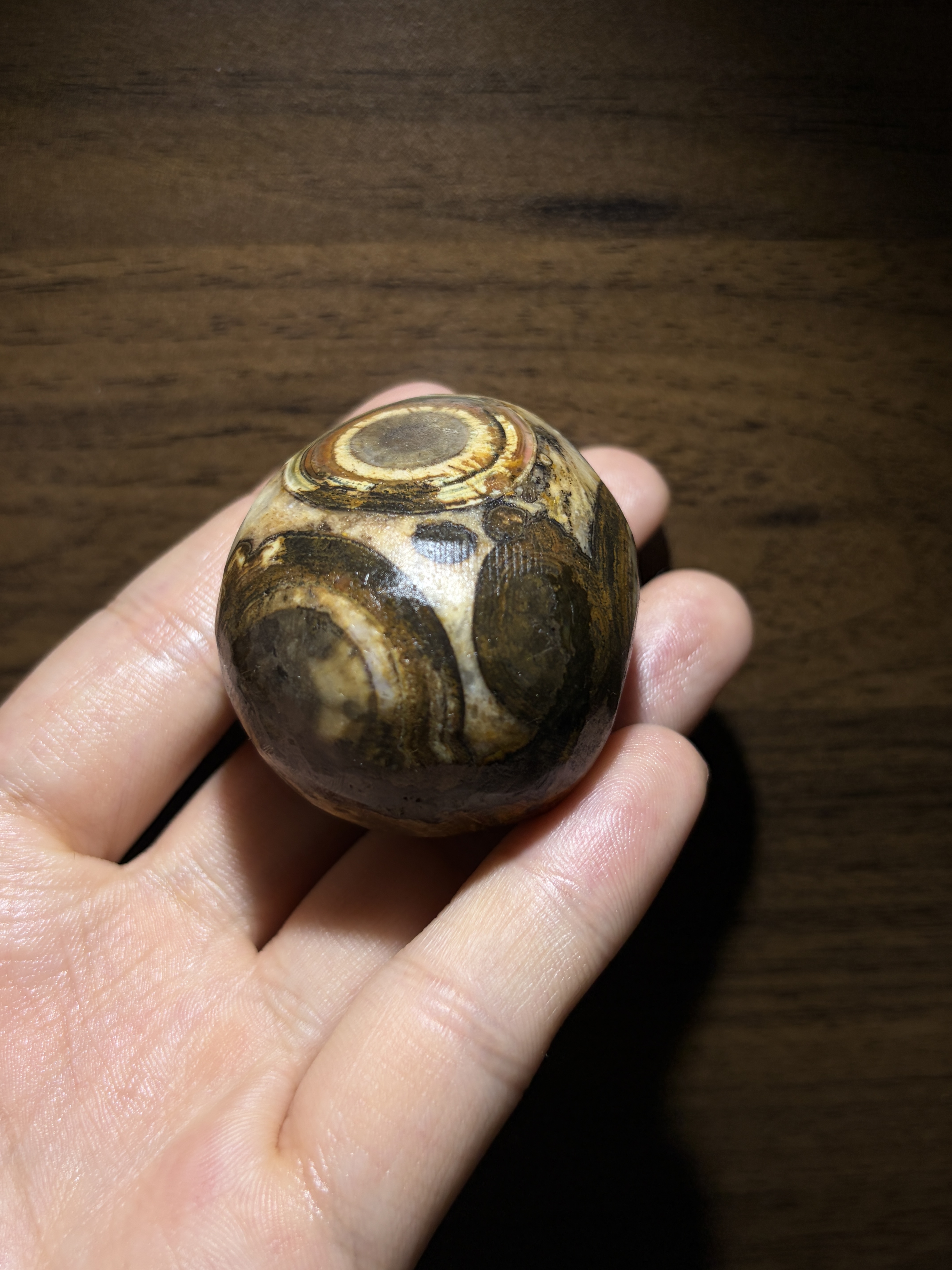 Mongolian Gobi Eye‑Stone
